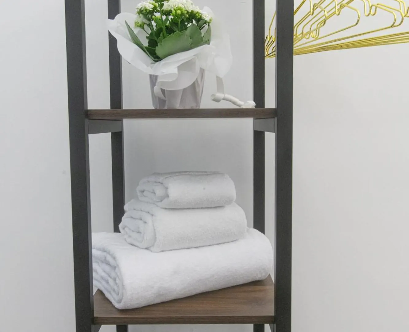 Pignasecca Domus Hotel Naples 0*,  Italy